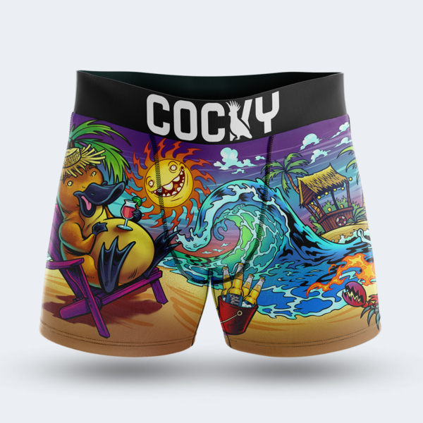 Mens Boxer Briefs – Cocky Underwear  Affordable Comfortable Mens & Womens  Underwear